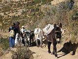 BOLIVIA - Isla del Sol - Titicaca Lake - 67